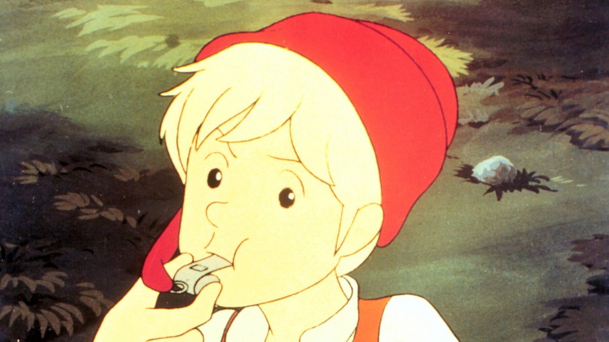 wunderbare reise des kleinen nils holgersson mit den wildgänsen