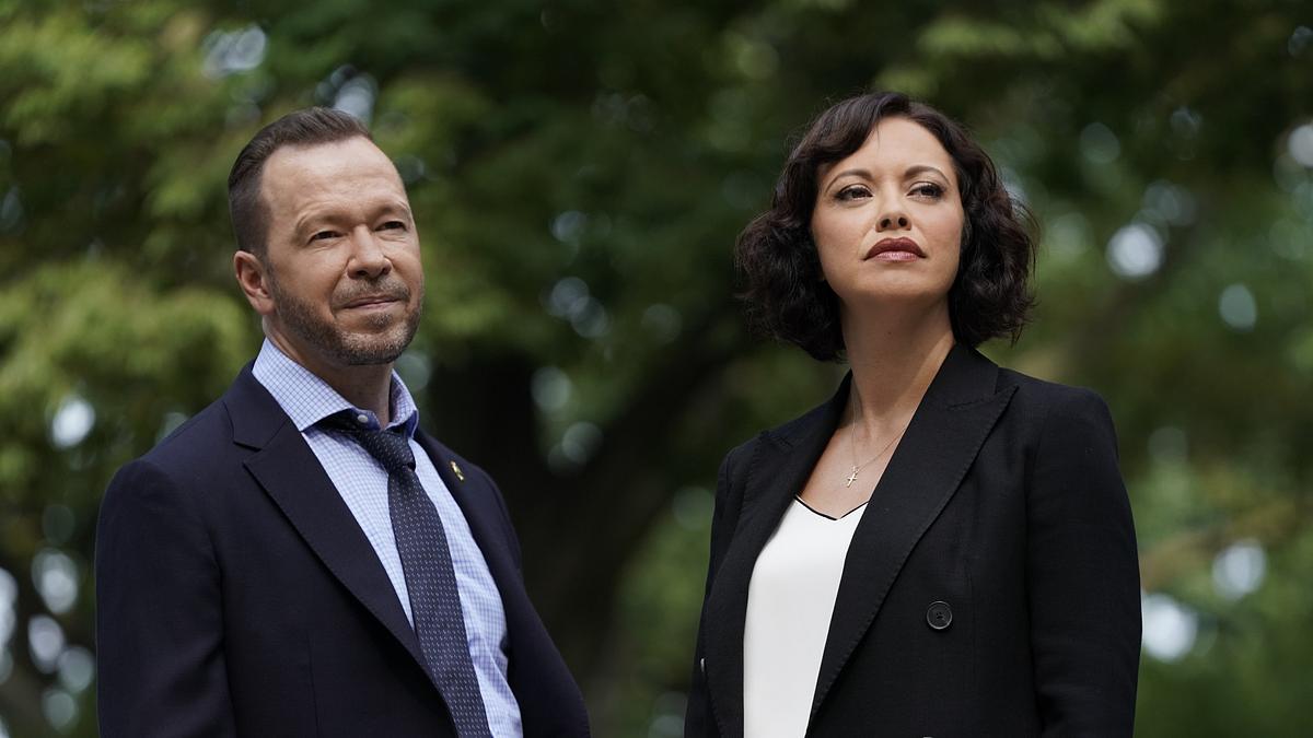blue bloods - crime scene new york
