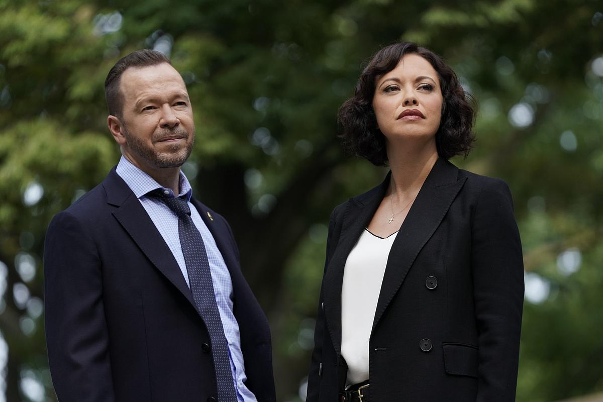 blue bloods - crime scene new york