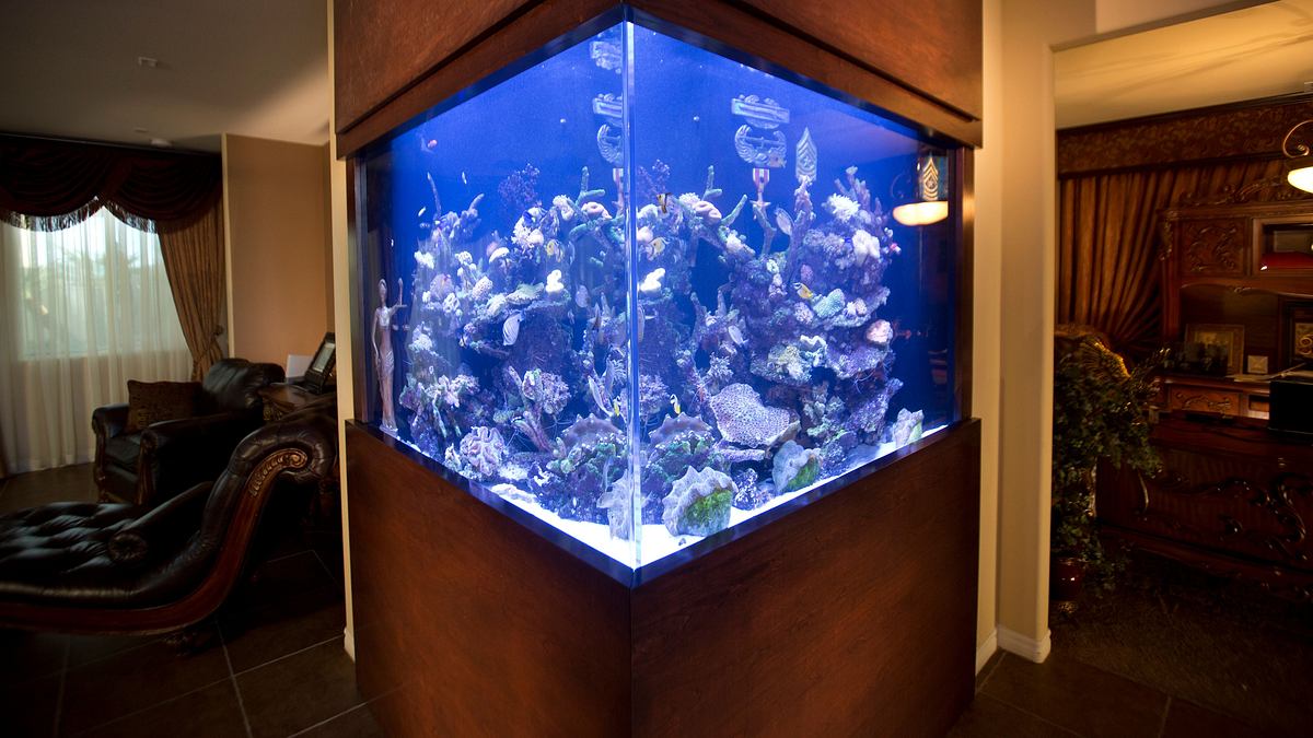 die aquarium-profis