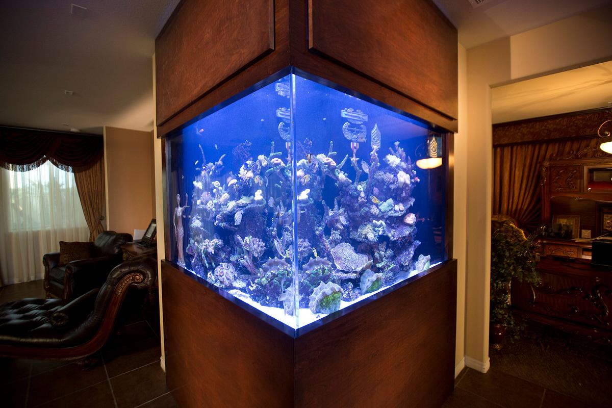Die Aquarium-Profis die aquarium-profis