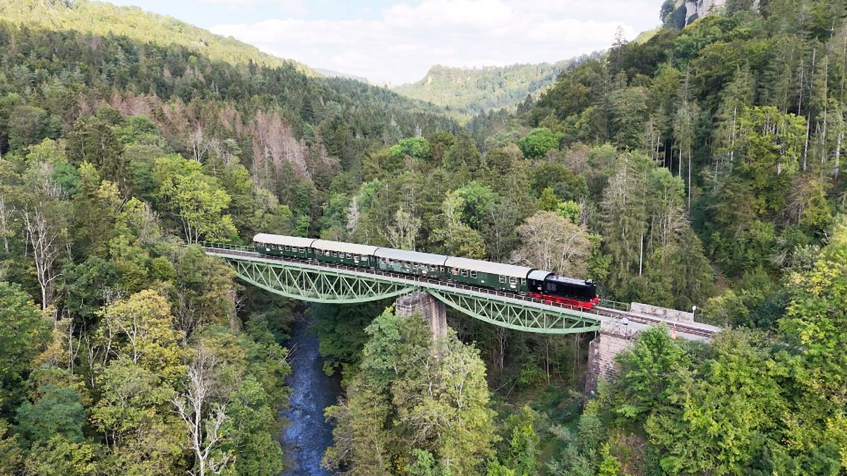 nostalgie am bodensee: historische schiffe und bahnen im dreiländereck