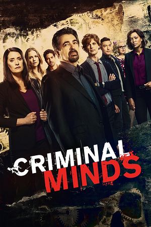 Criminal Minds - Foto: TMDB