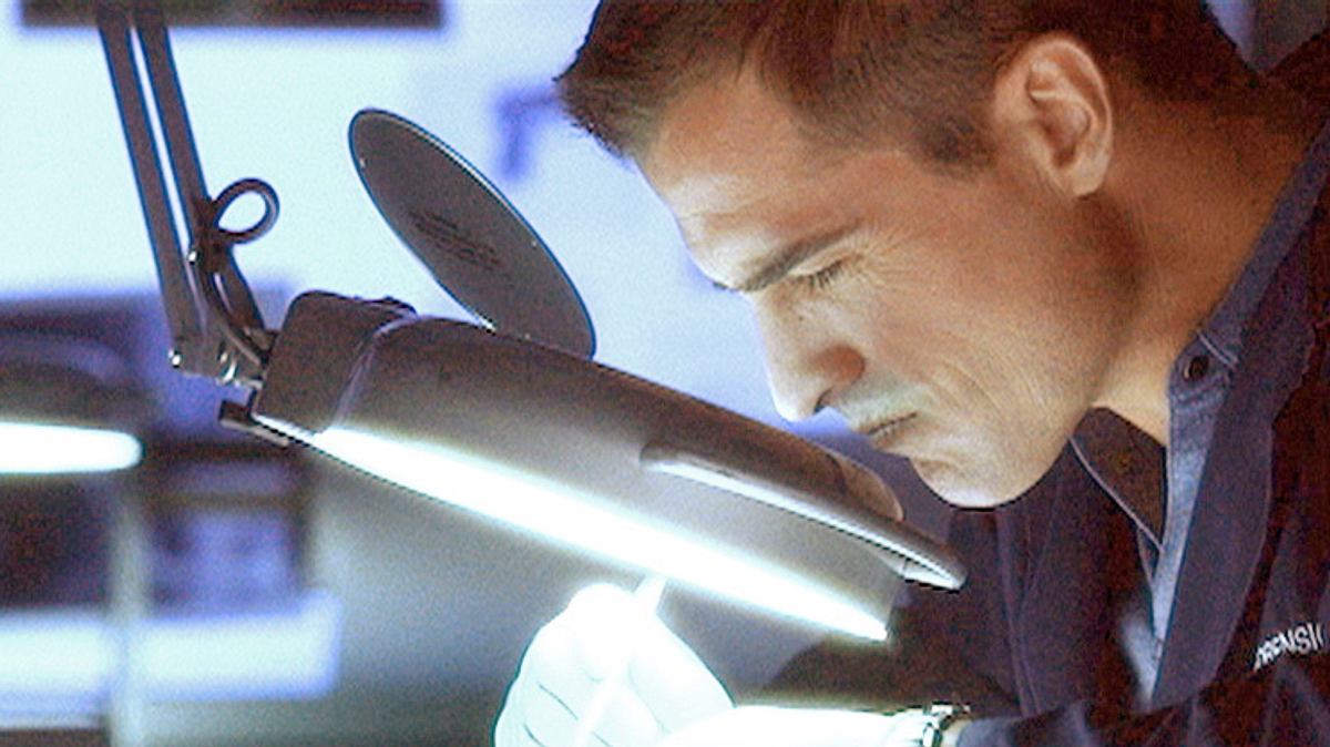 csi: den tätern auf der spur