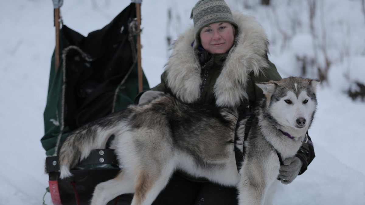 nordalaska - überleben am polarkreis