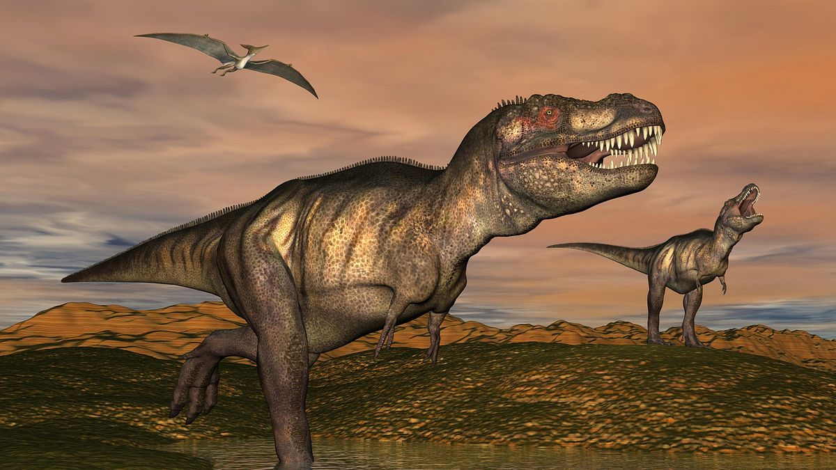 t-rex autopsie