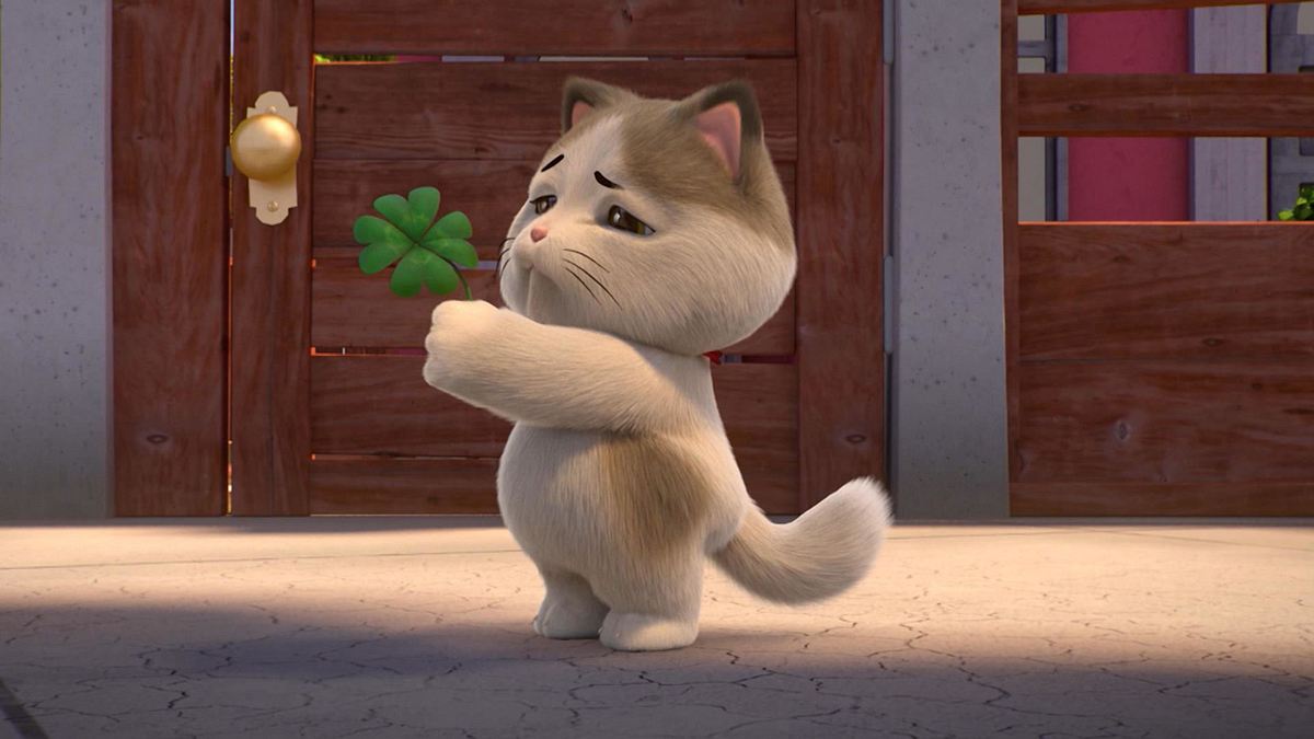44 Cats 44 cats