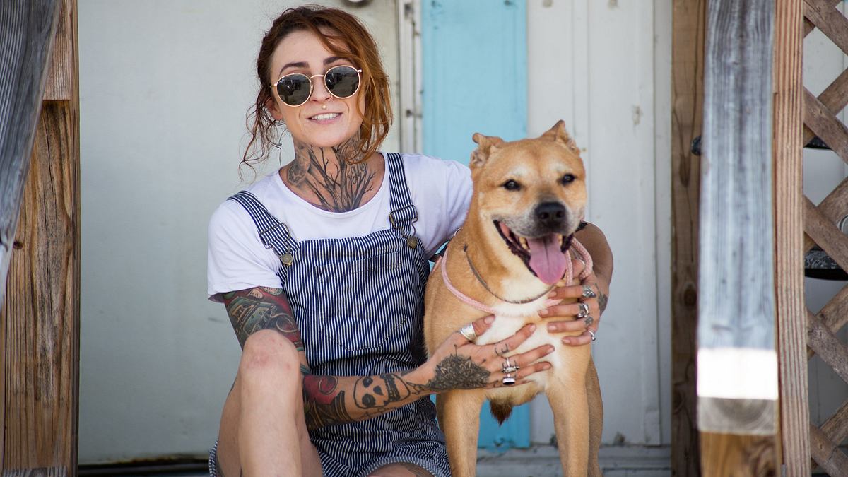 pitbulls auf bewährung