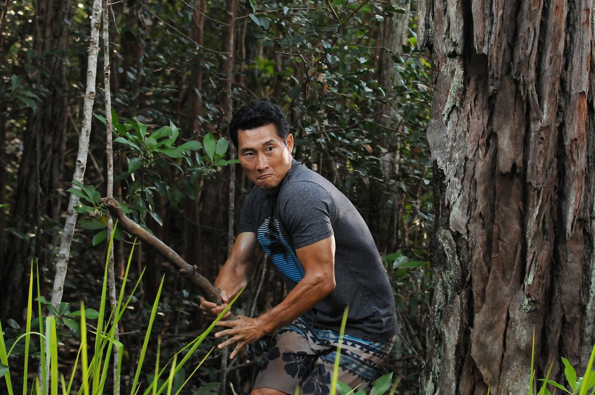 Hawaii Five-0 hawaii five-0