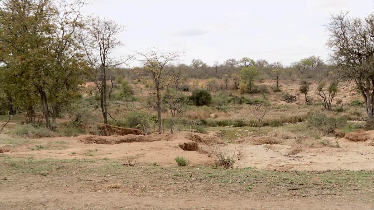 naked survival xxl - 40 tage überleben