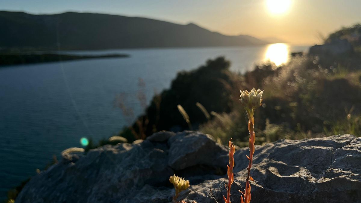 kroatiens adria - ein bedrohtes urlaubsparadies?