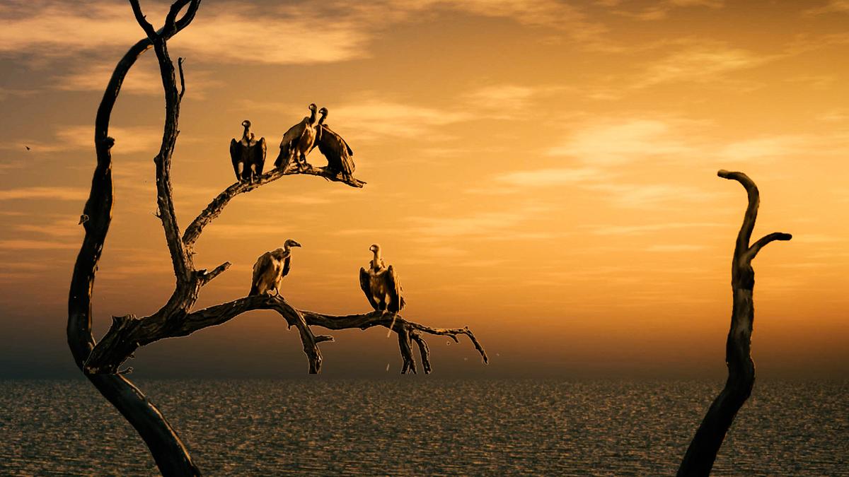 die putzkolonne der natur