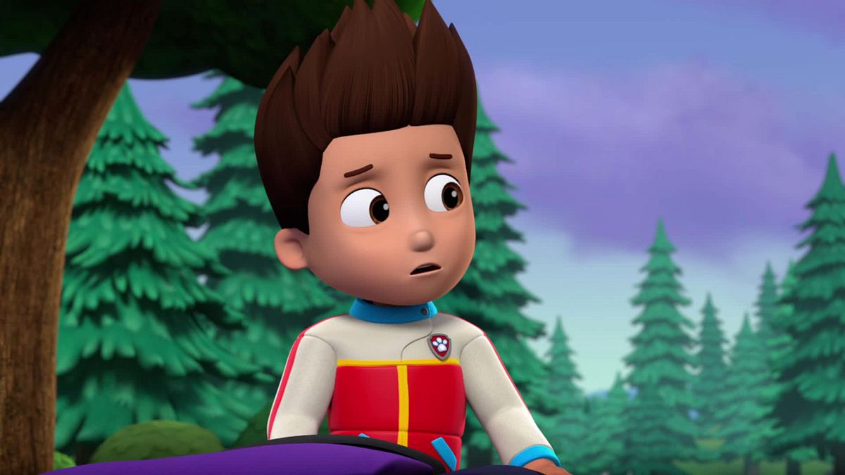 paw patrol - helfer auf vier pfoten