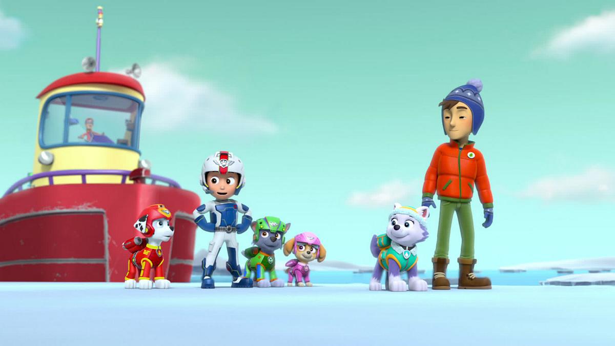 paw patrol - helfer auf vier pfoten