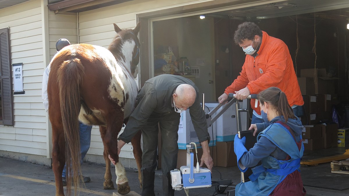 der unglaubliche dr. pol
