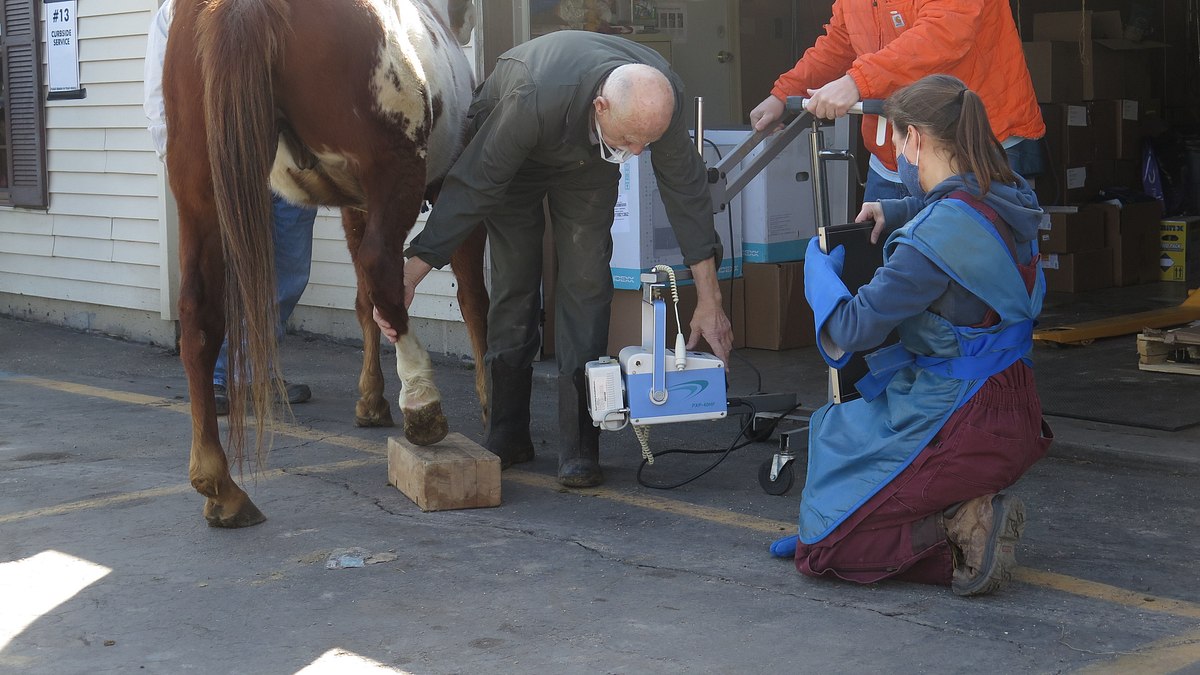 der unglaubliche dr. pol