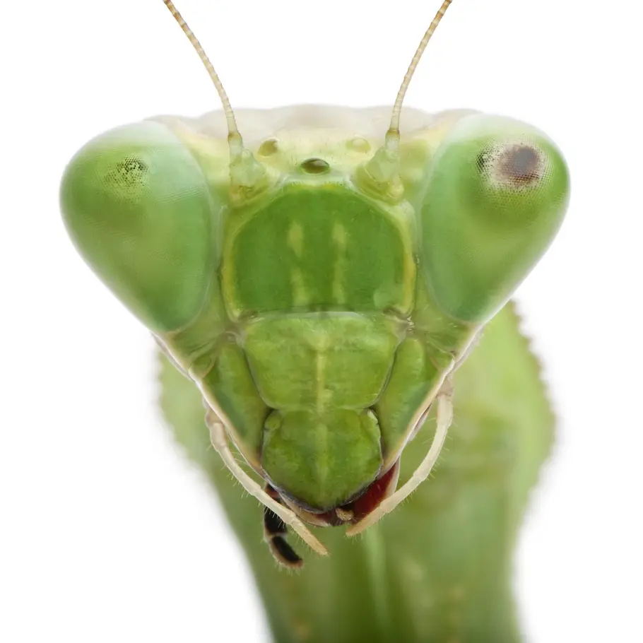 Ancient Aliens - Unerklärliche Phänomene ancient aliens - unerklärliche phänomene