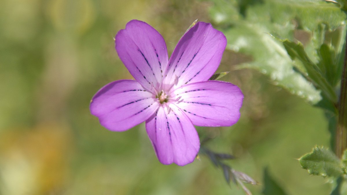 abenteuer wildnis