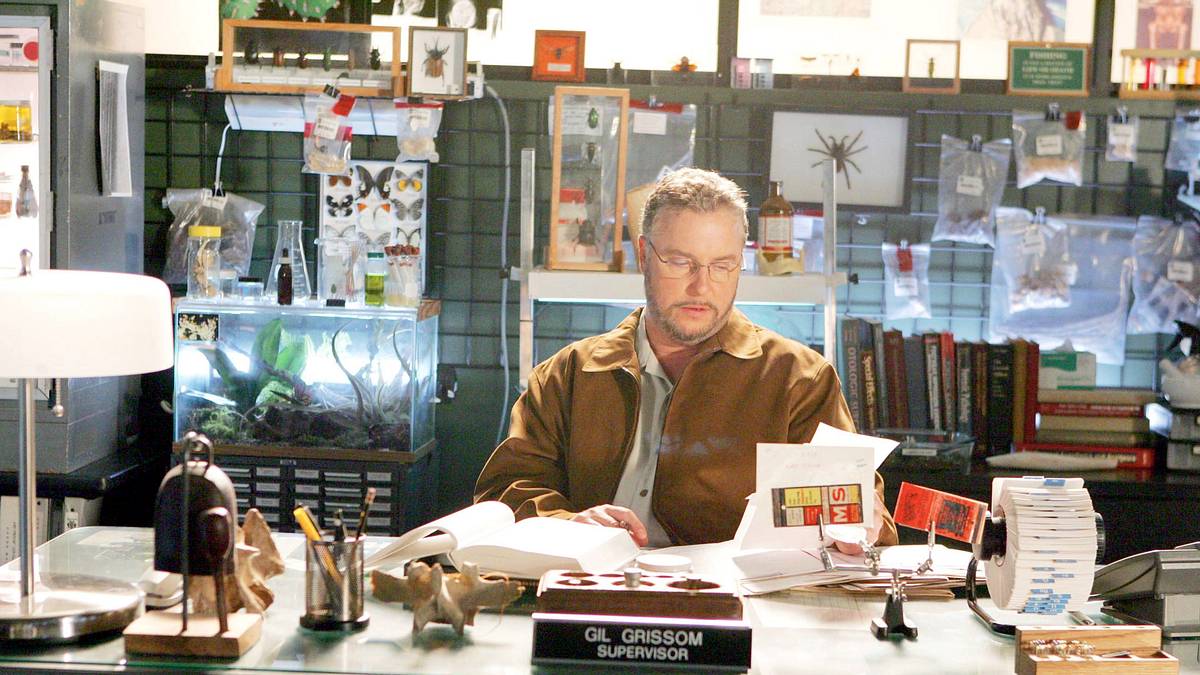 csi: den tätern auf der spur