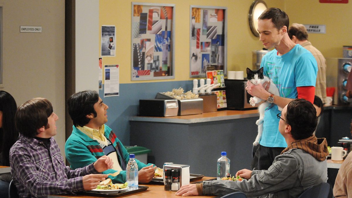 the big bang theory