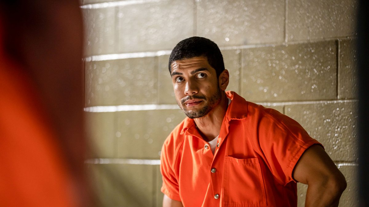law & order: organized crime