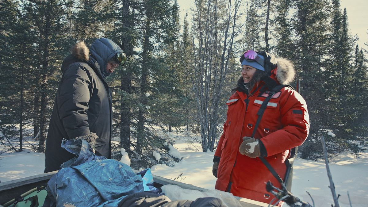 northwoods survival: überleben in kanadas wildnis