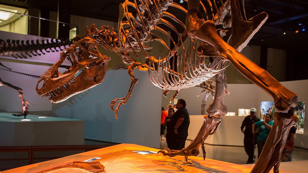 t-rex: ultimate survivor