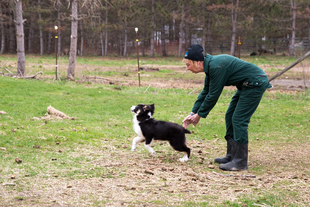 Der unglaubliche Dr. Pol der unglaubliche dr. pol