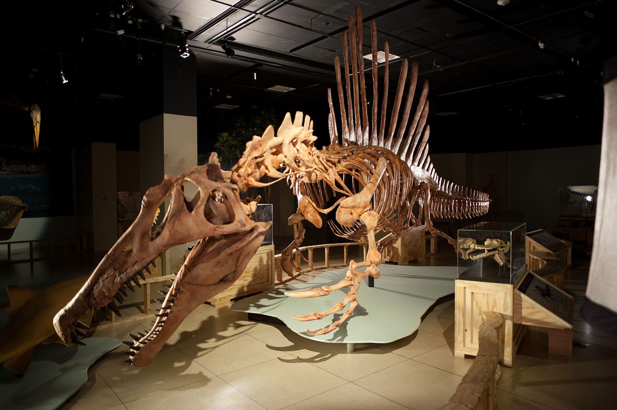 top ten mega monster