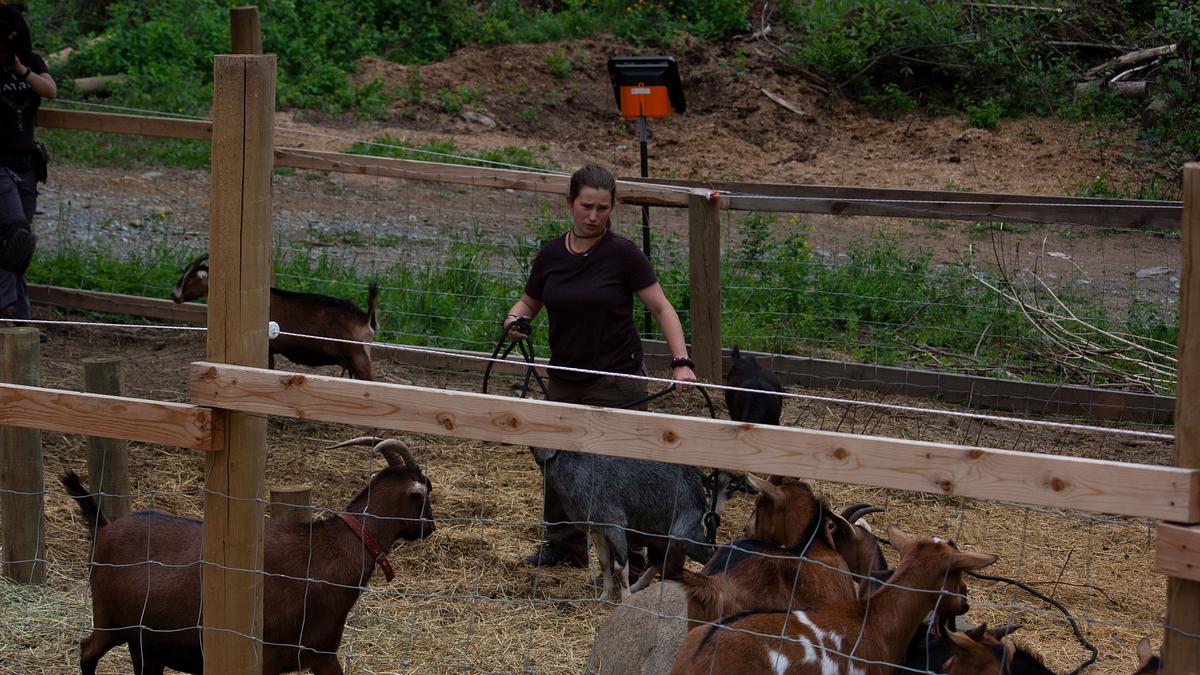 alaskan bush people