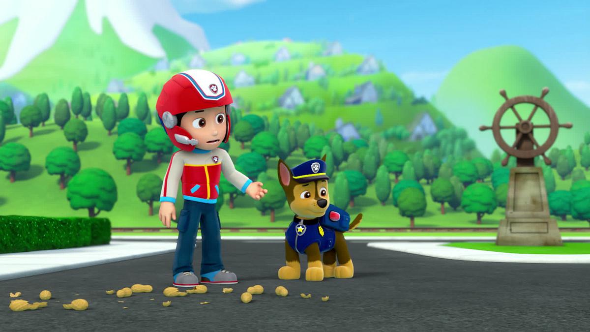 paw patrol - helfer auf vier pfoten