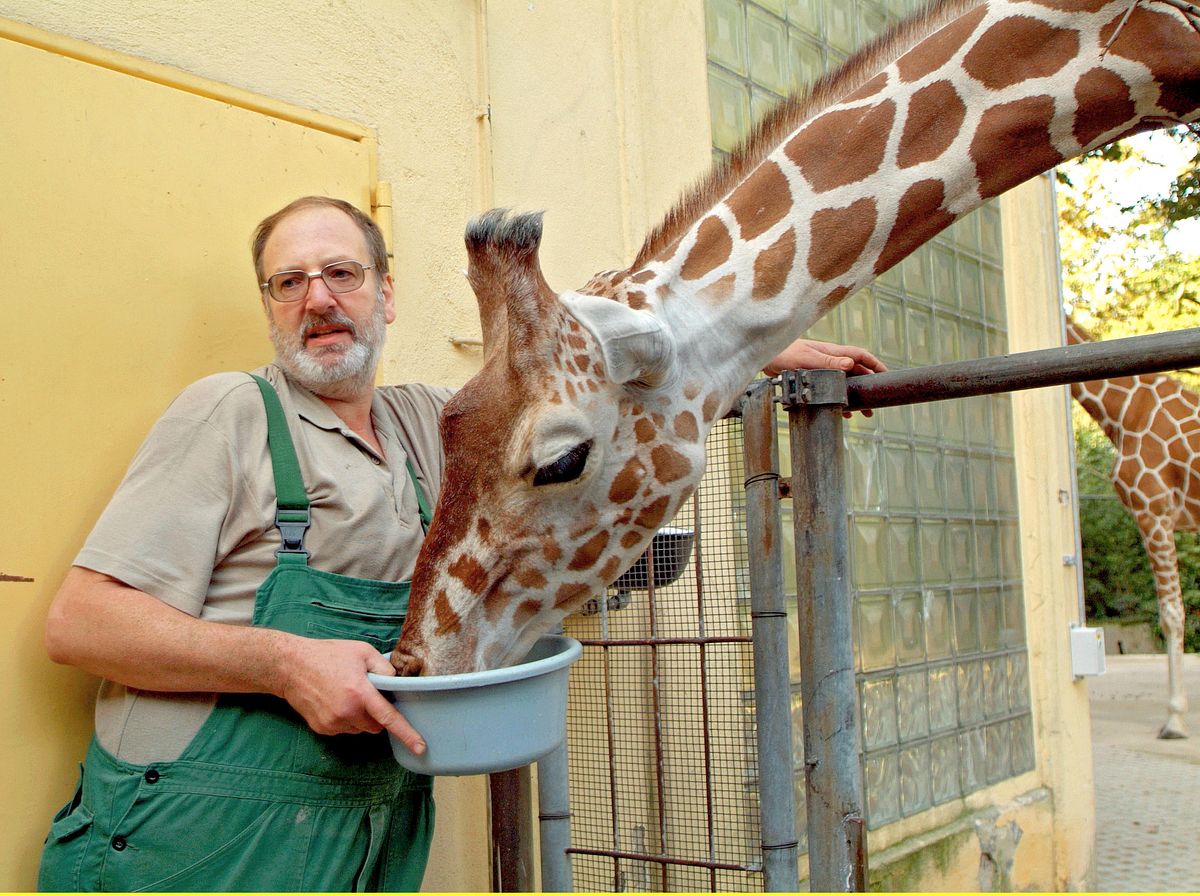 giraffe, erdmännchen & co.