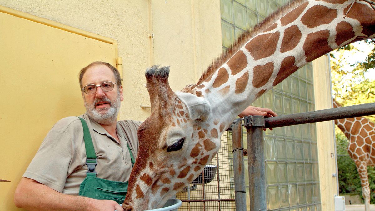 giraffe, erdmännchen & co.
