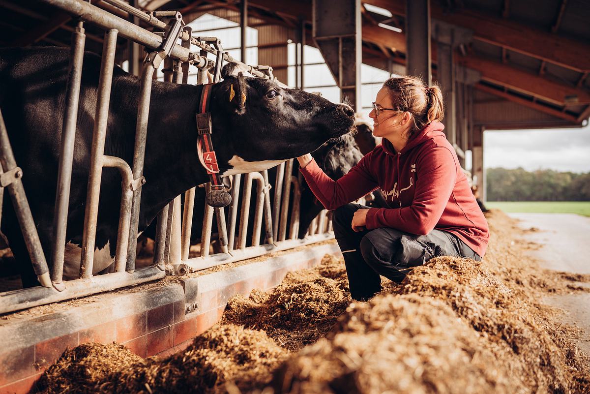 Die Geschichte der Landwirtschaft - Von der Weide auf den Teller die geschichte der landwirtschaft - von der weide auf den teller