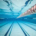 sportstudio live Thumbnail