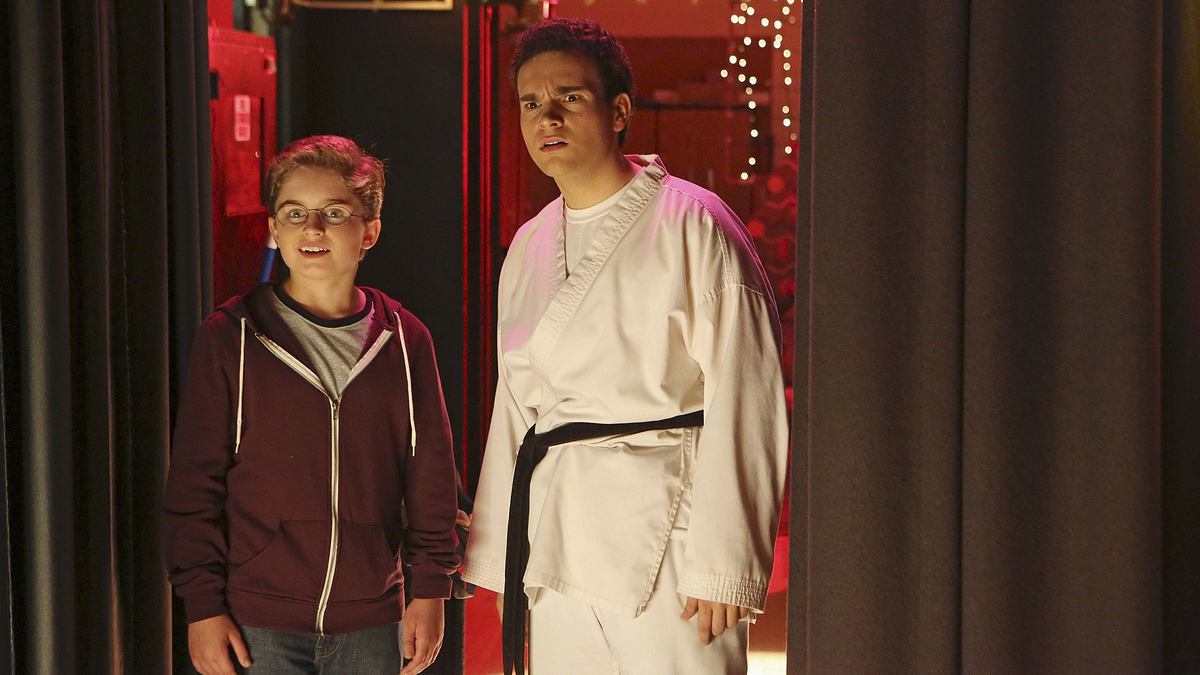 The Goldbergs the goldbergs