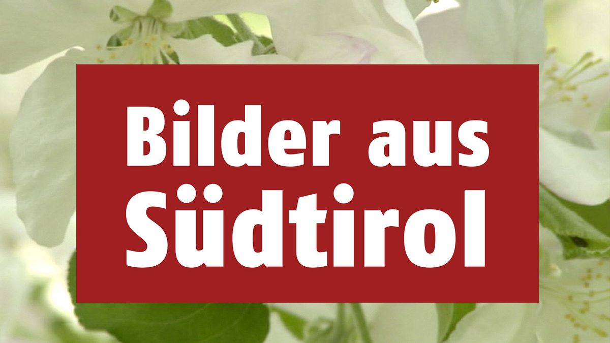 bilder aus südtirol