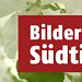 Bilder aus Südtirol Thumbnail