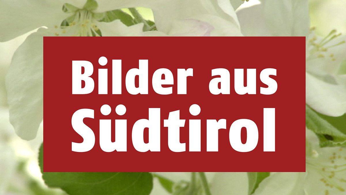 bilder aus südtirol