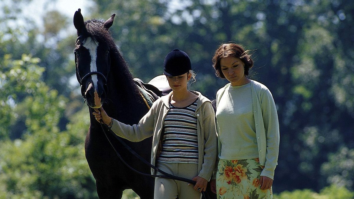 rosamunde pilcher: zerrissene herzen