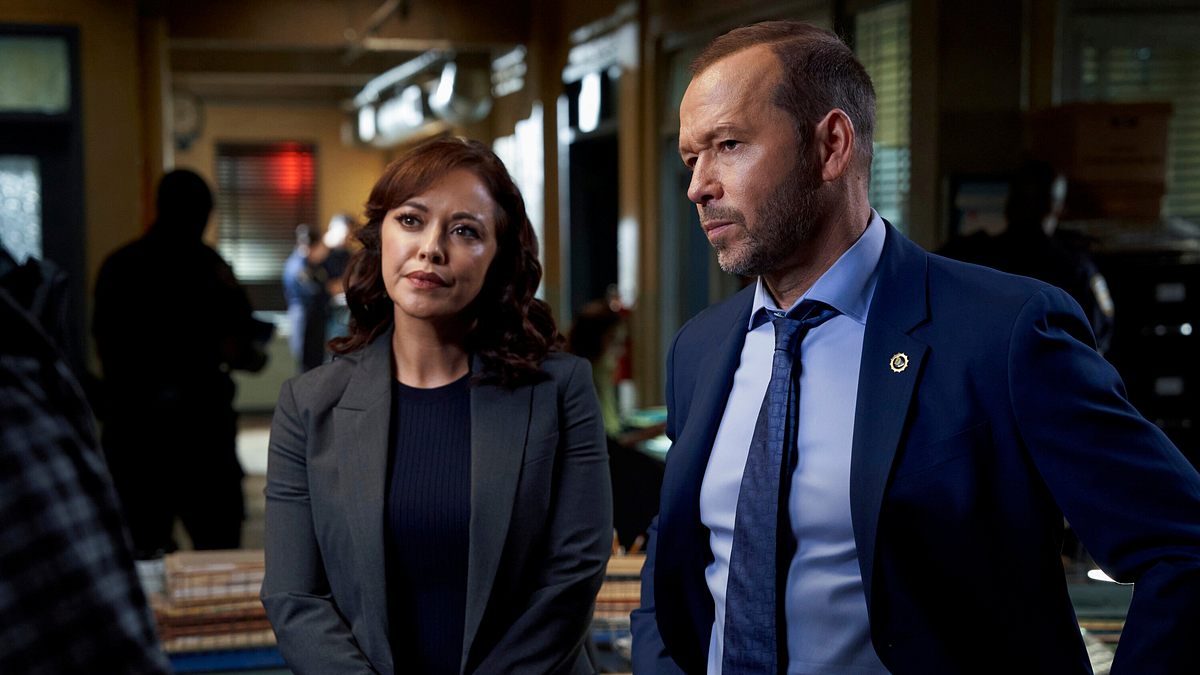 blue bloods - crime scene new york