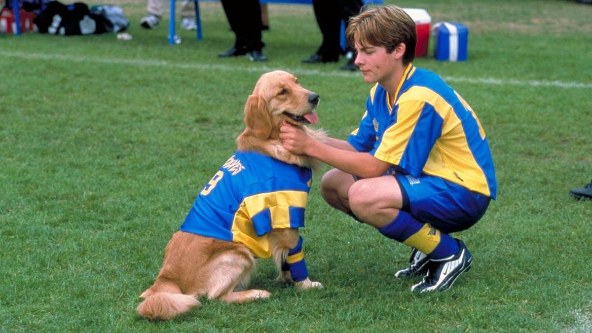 Air Bud 3 - Ein Hund für alle Bälle Air Bud 3 - Ein Hund für alle Bälle