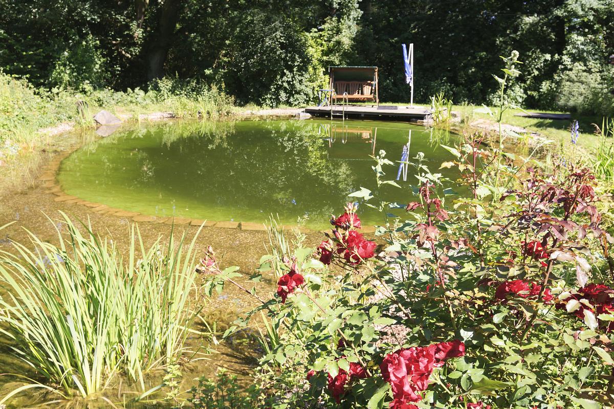 Ab ins Beet! Die Garten-Soap ab ins beet! die garten-soap