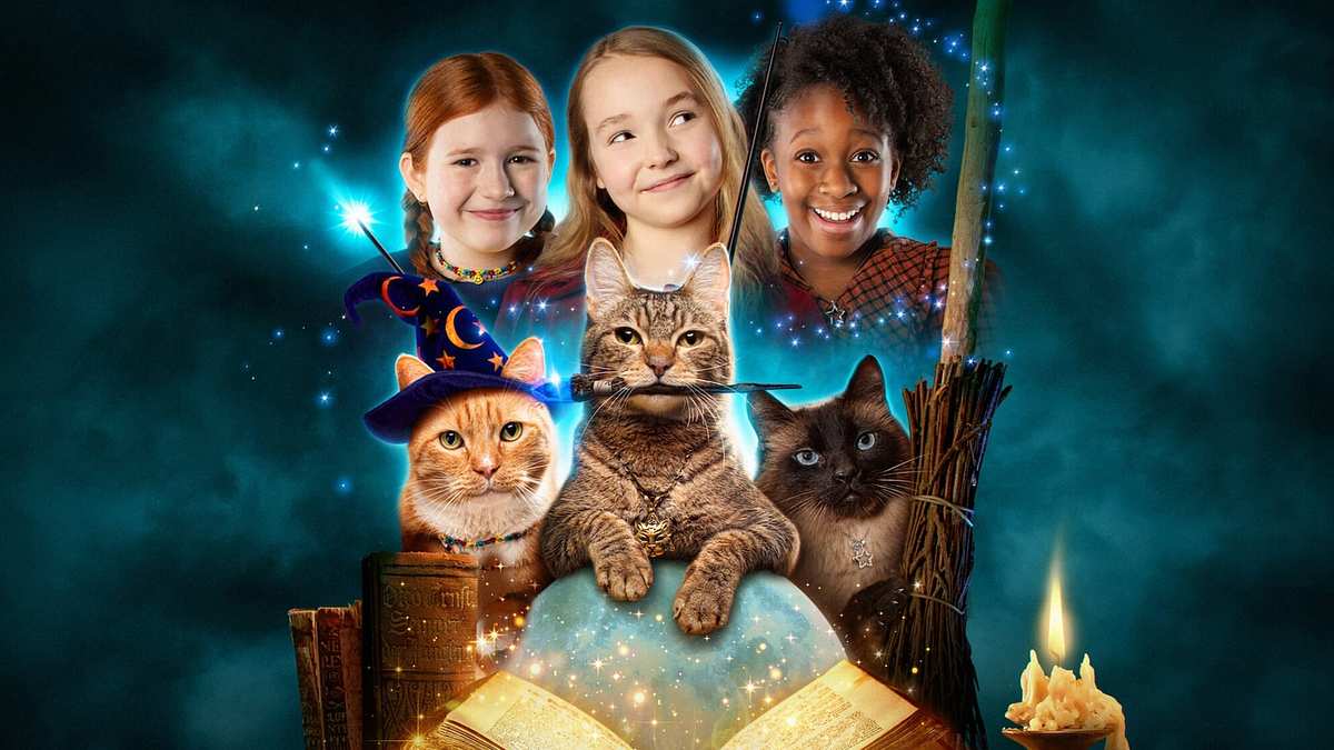 Hexen und Katzen