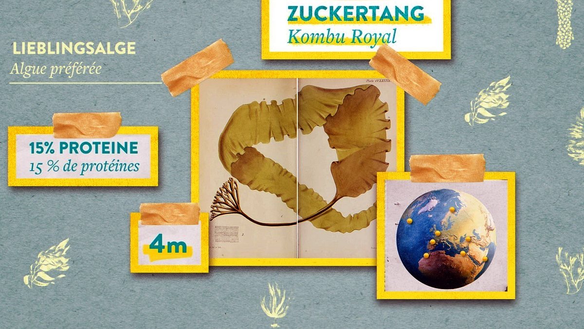 42 - die antwort auf fast alles