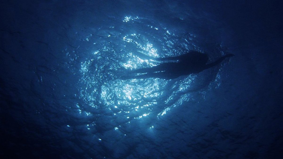 Der weiße Hai - Kultfilm mit Biss Der weiße Hai - Kultfilm mit Biss
