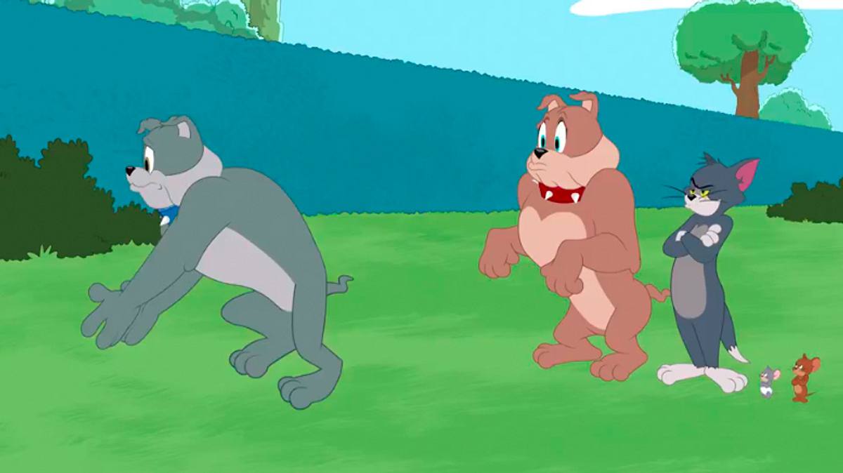 Die Tom und Jerry Show die tom und jerry show