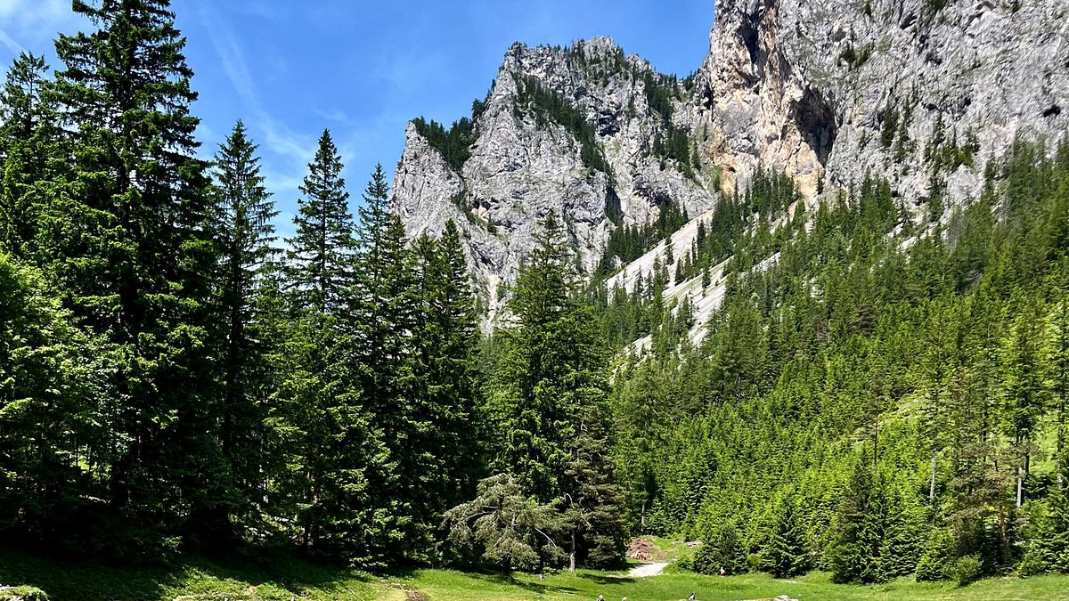 9 plätze - 9 schätze: so schön ist österreich