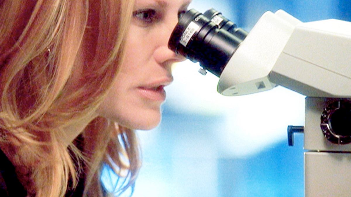 csi: den tätern auf der spur