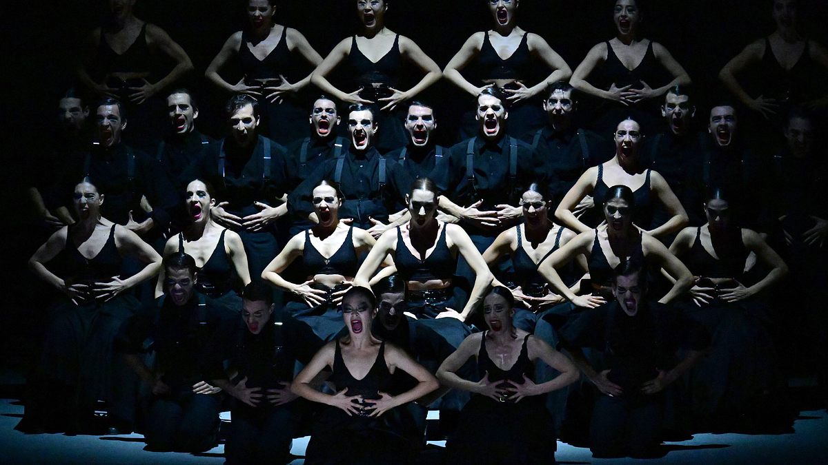 afanador - ballet nacional de españa